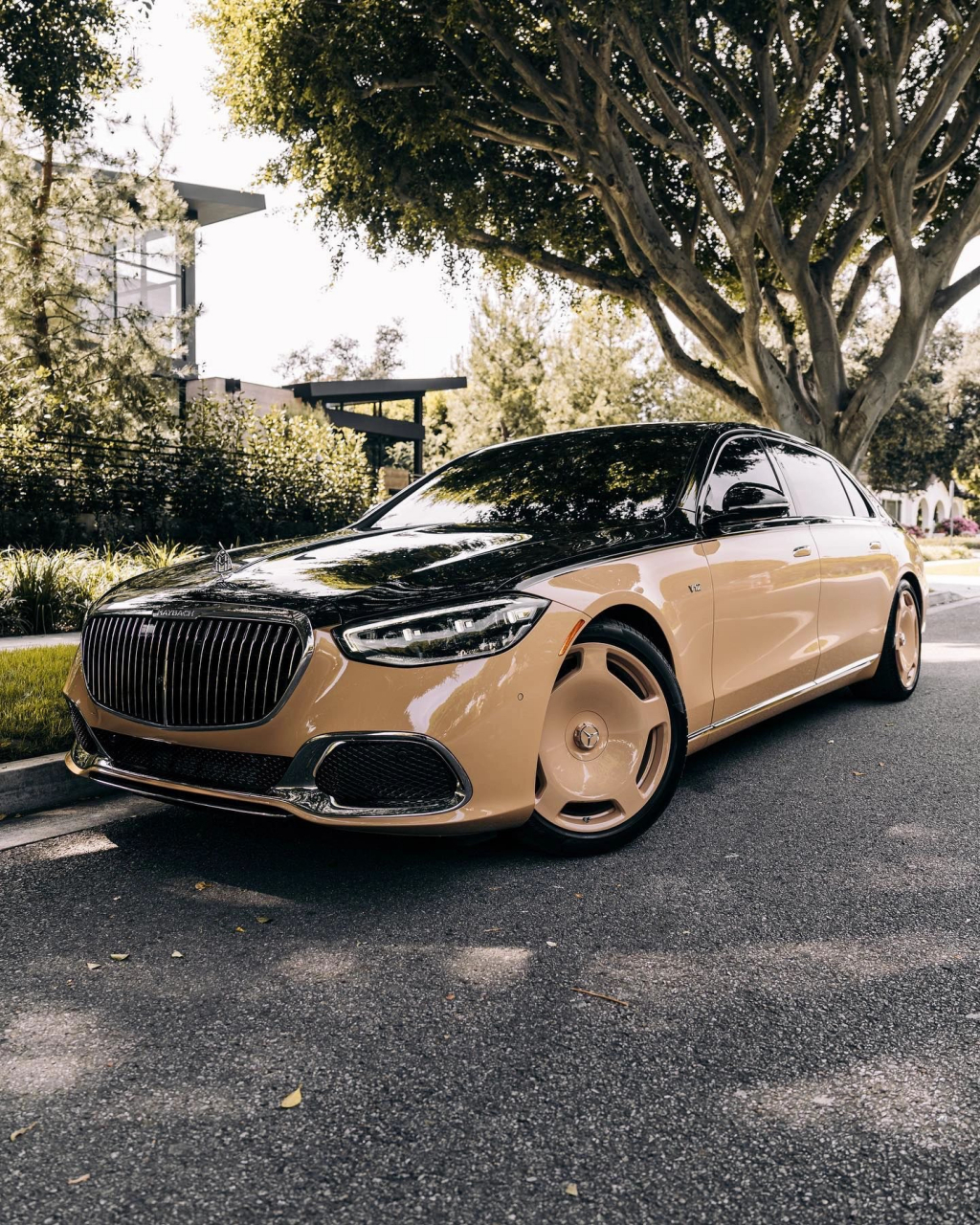 这就是最贵的奔驰了吧,迈巴赫lv联名款的车型,裸车达到了640多万,落地