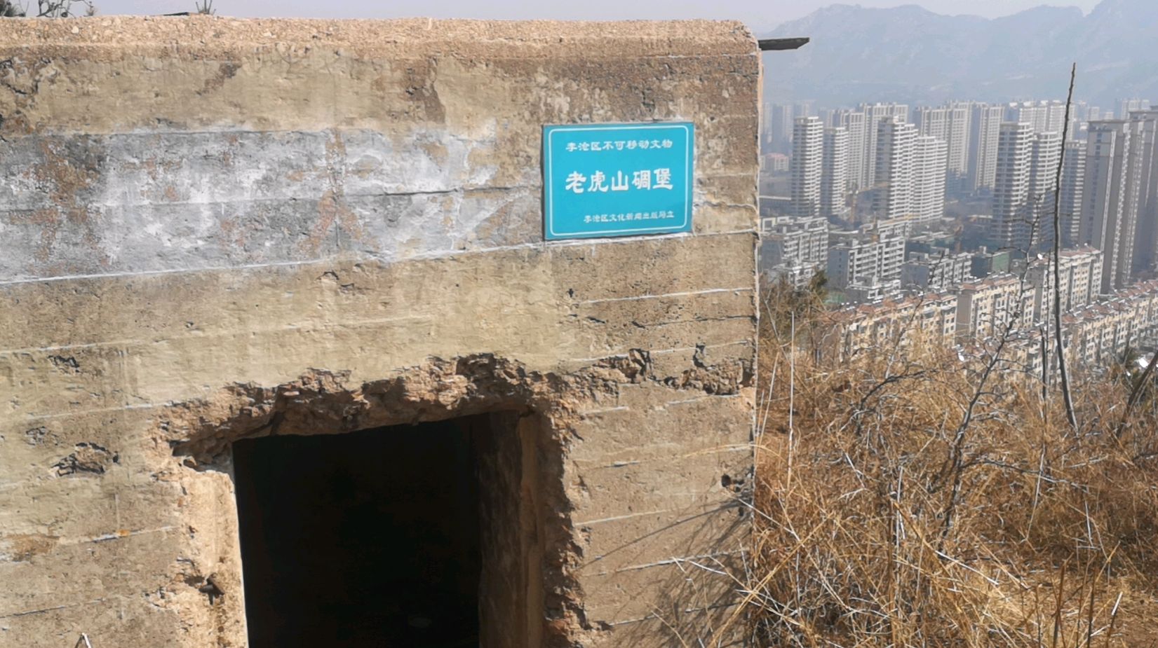 清晨的青岛老虎山