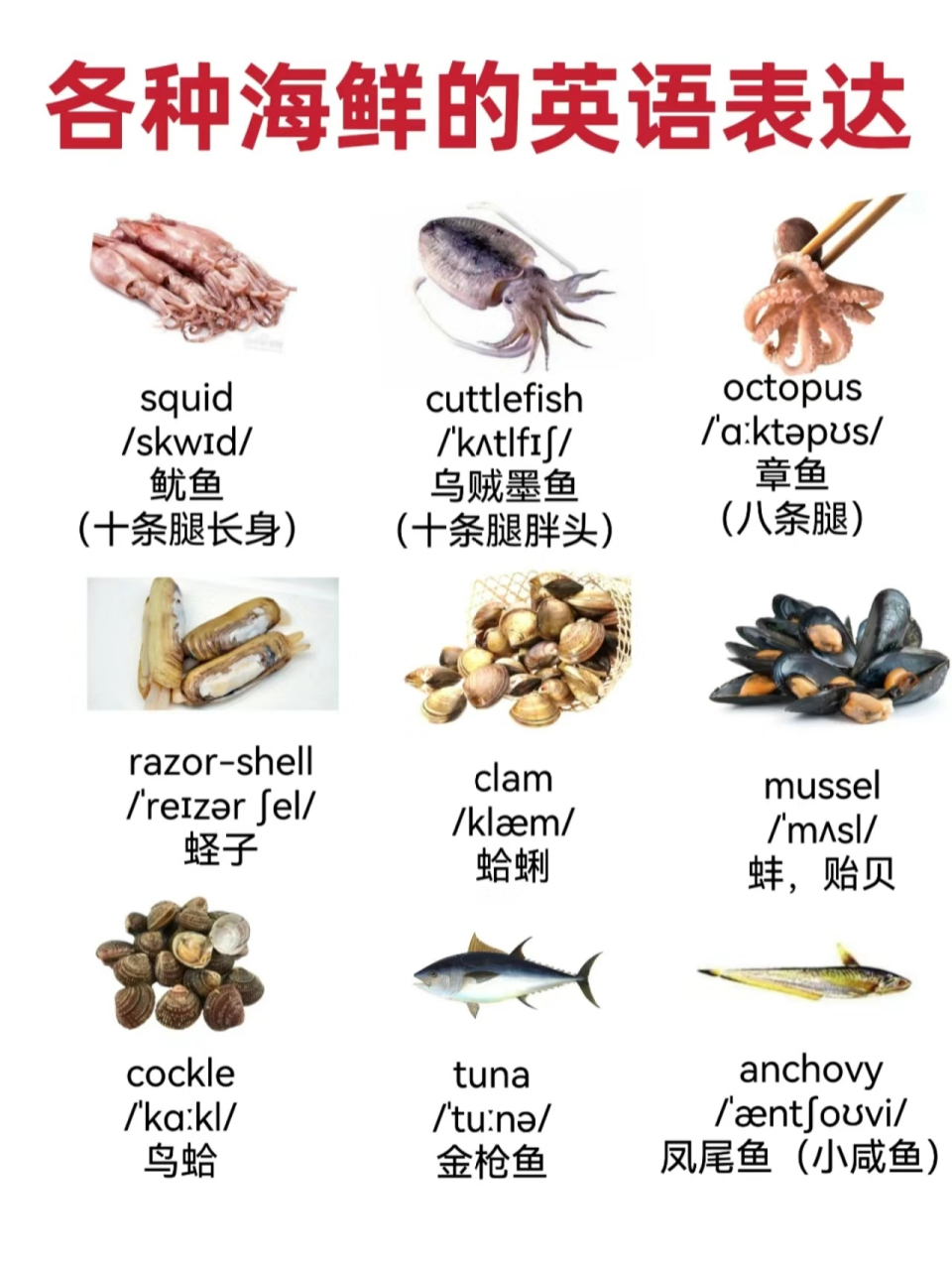 各种海鲜的英文表达