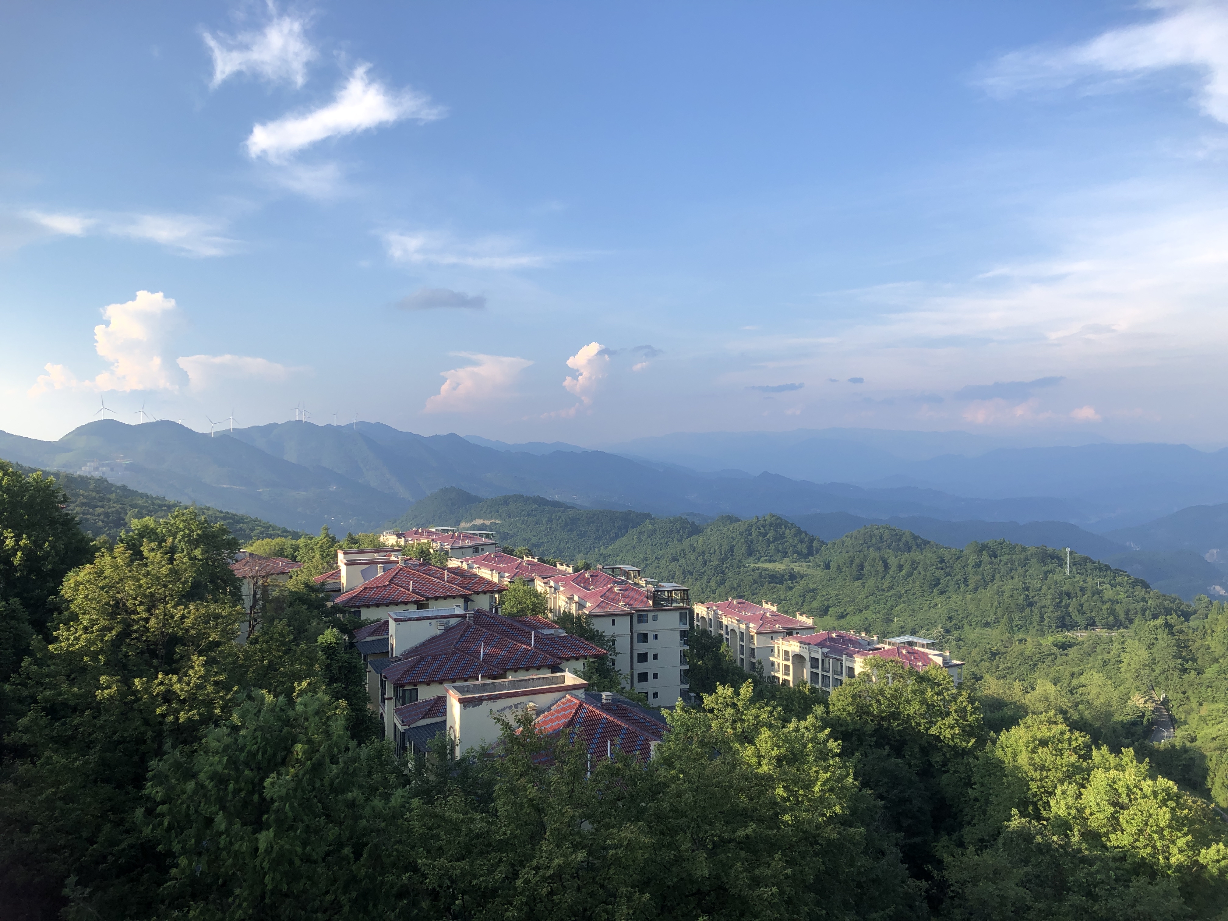 南川长青森林公园,海拔1350米,重庆1个半小时直达的避暑圣地?