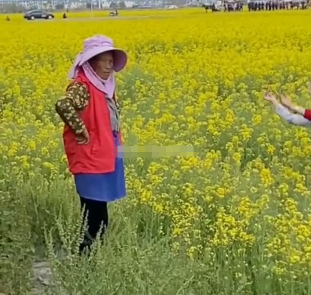 油菜花大妈拍照图片