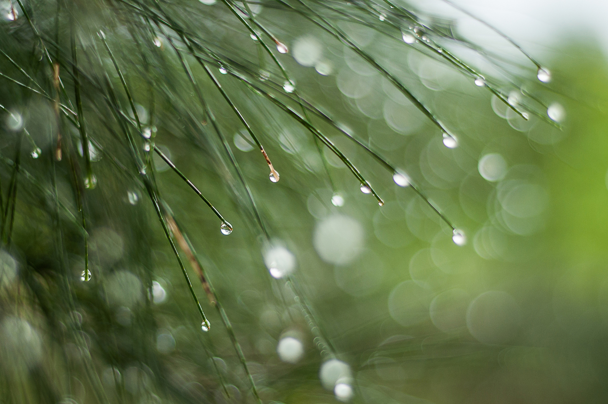 雨天的风景也不错