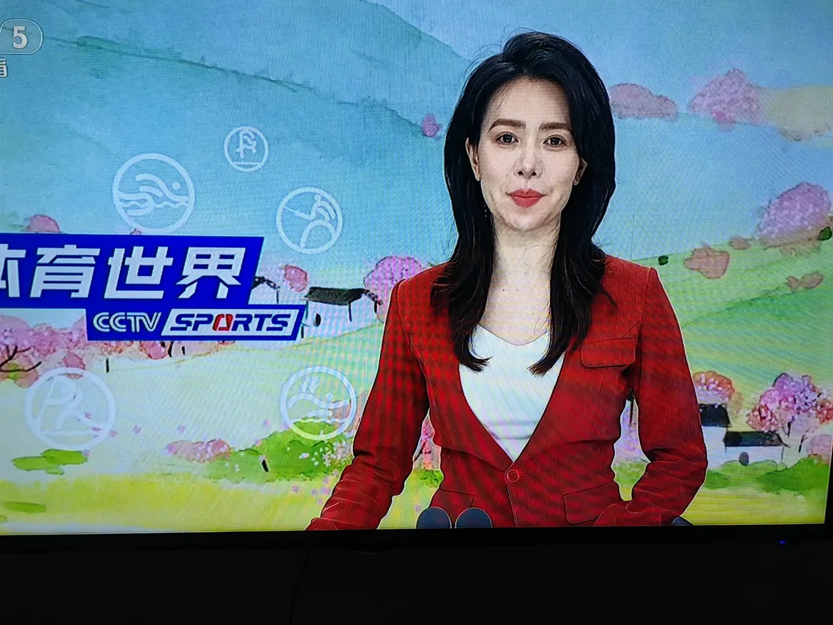 晚上回来偶然看到中央电视台五套体育新闻主持人, 这张惊悚的整容脸吓