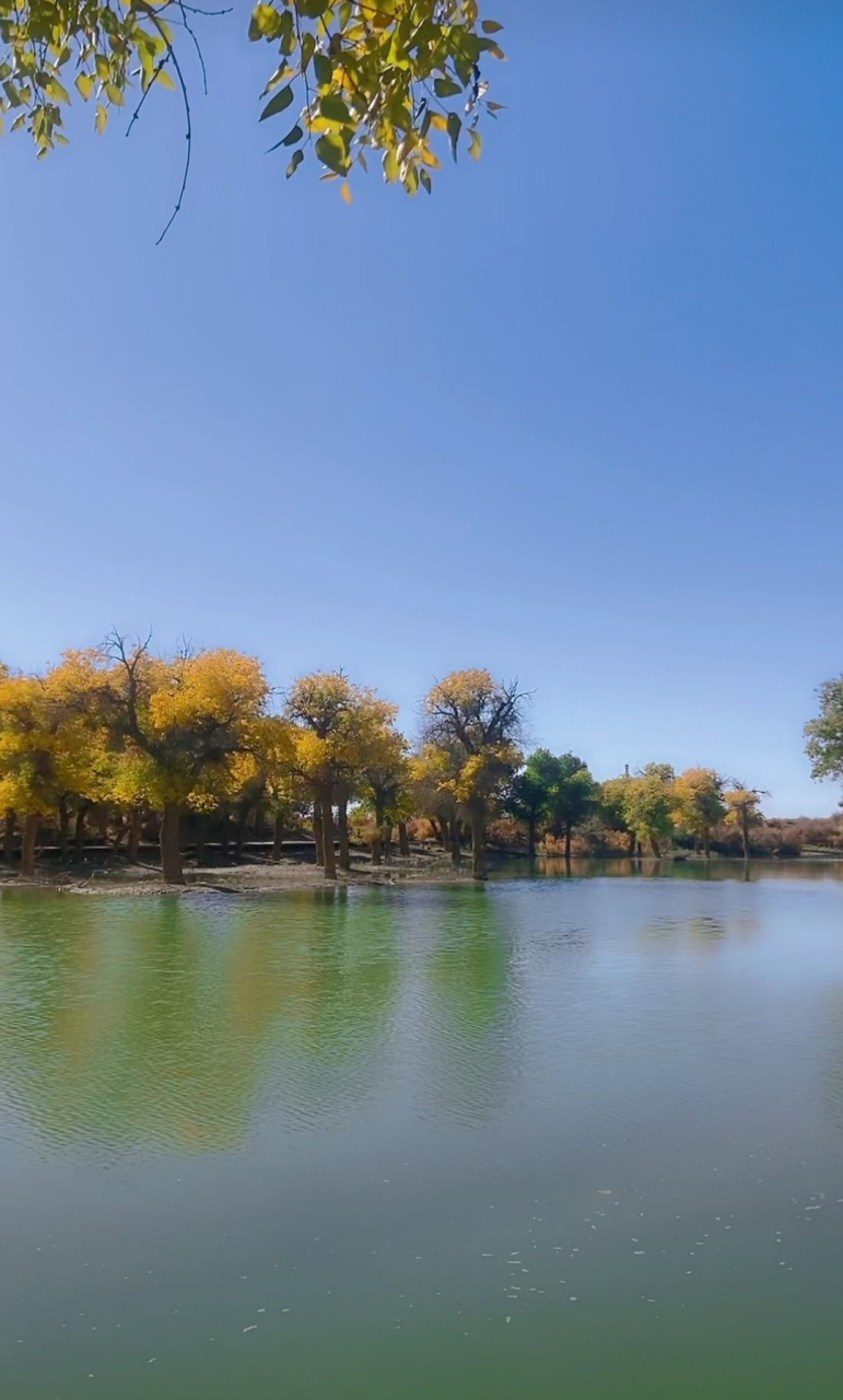 秋天风景# 只要你沉得住气,就更容易得到自己想要的.