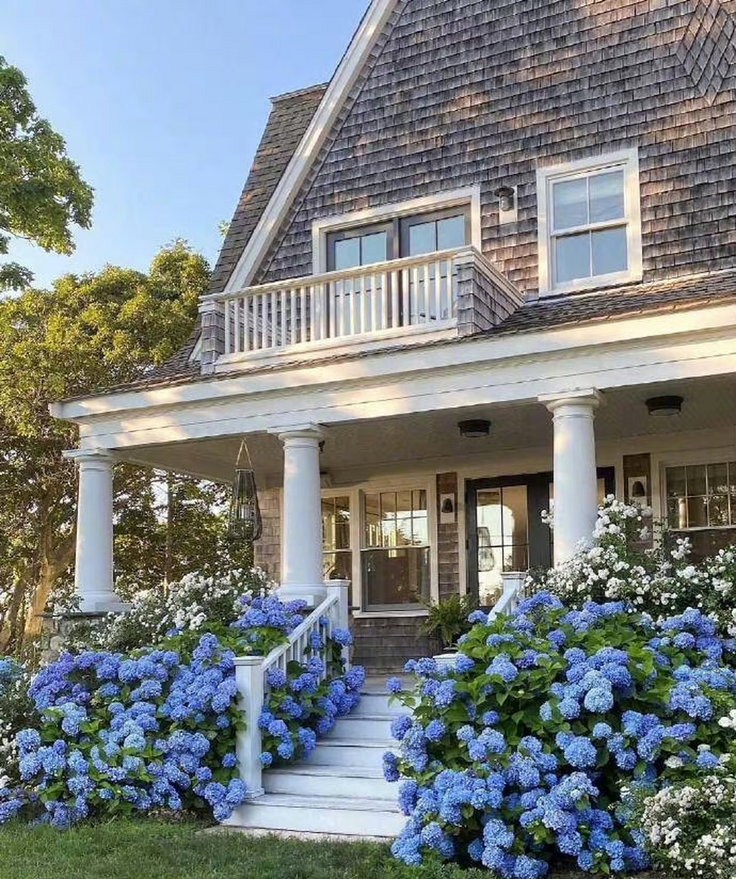 理想中的房子,种满花的这种 ,岁月静好只是片刻, 一地鸡毛才是日常.