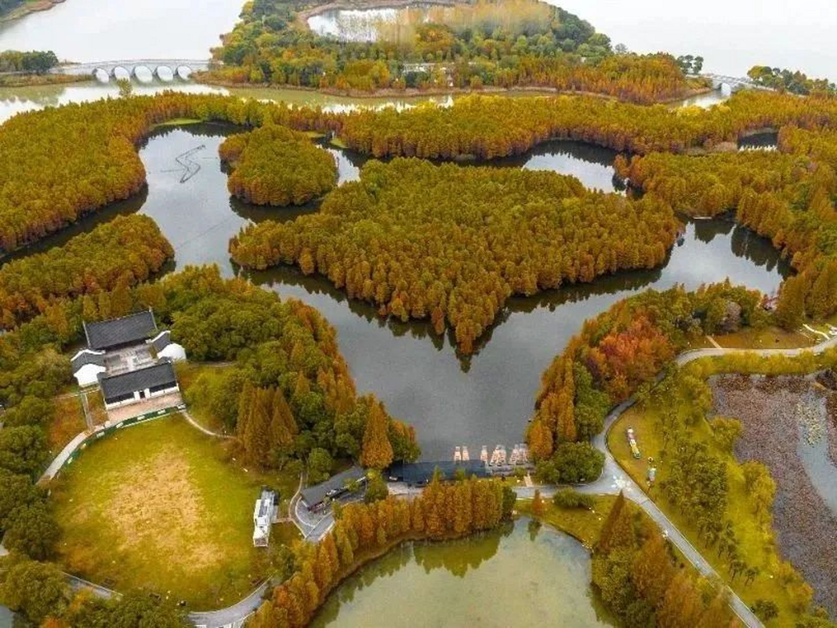 苏州观赏水杉林的5个好地方  苏州白鹭园公园: 亮点:位于独墅湖教堂和