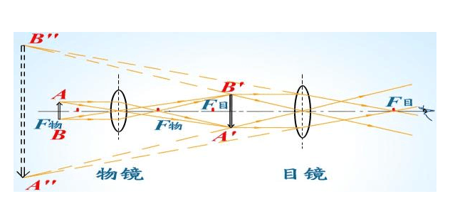 显微镜和望远镜的成像原理