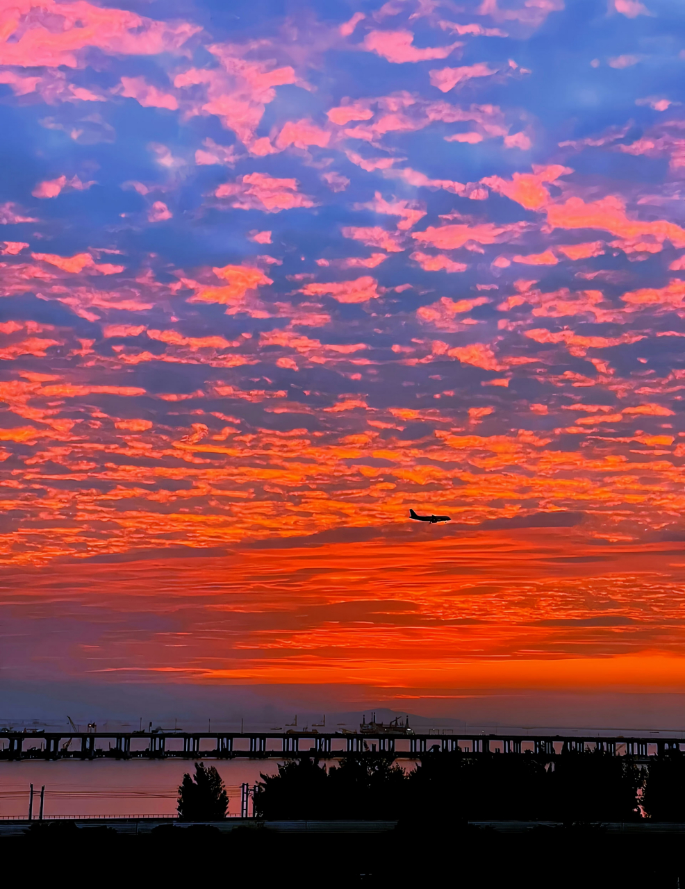 "云朵喝了我放在屋顶的酒,于是它脸红变成了晚霞." 676767