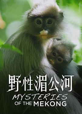 《 野性湄公河》14转复古迷失