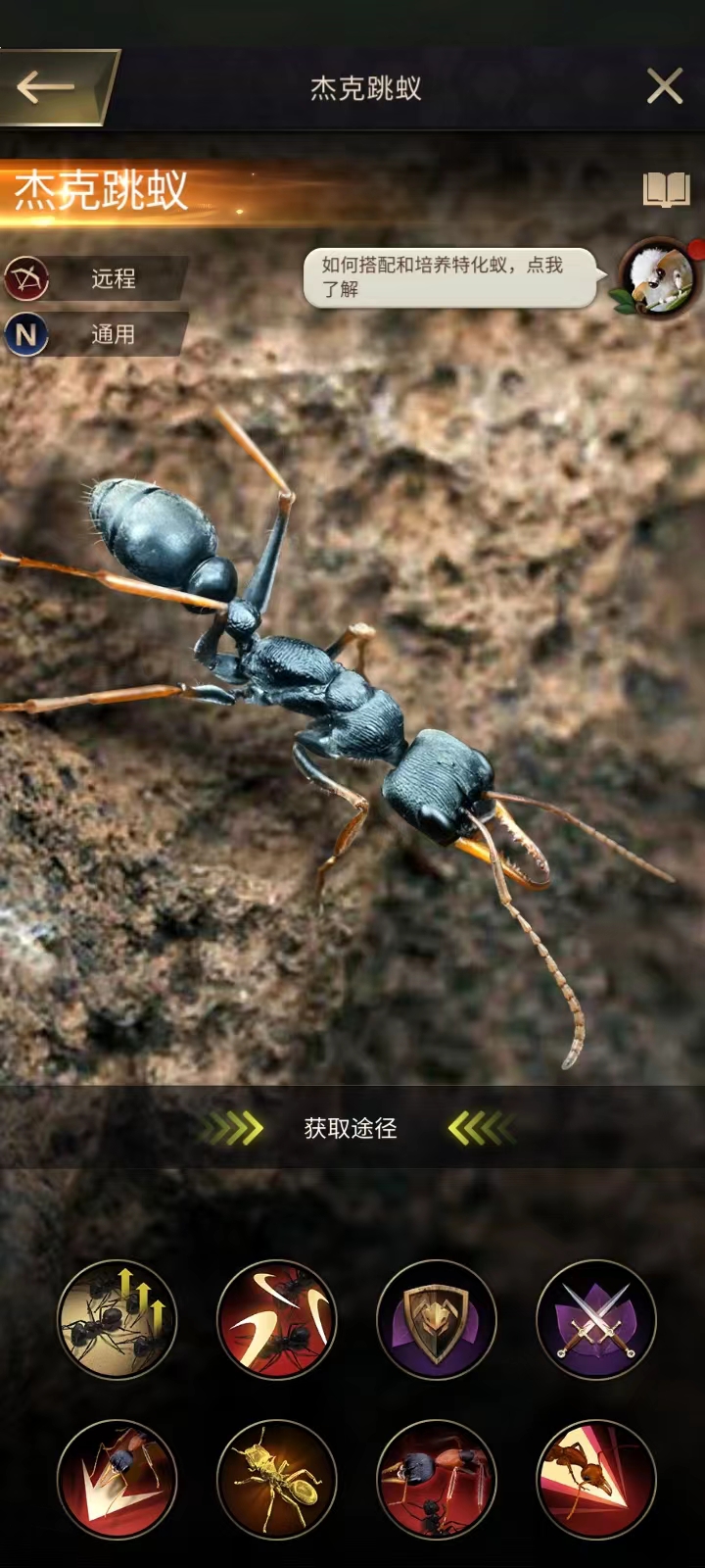 小小蚁国:十大最强橙色特化蚁,你拥有那几个?