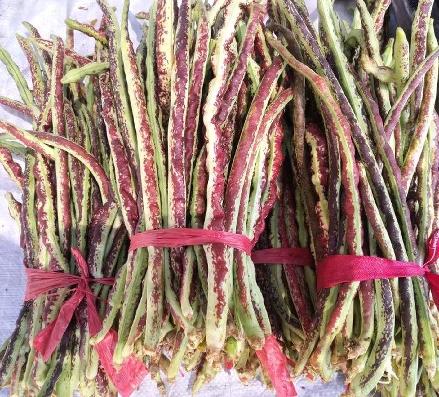 今天去早市上买菜,看到一个农村老头卖山豆角,也没有多少人买,4块钱