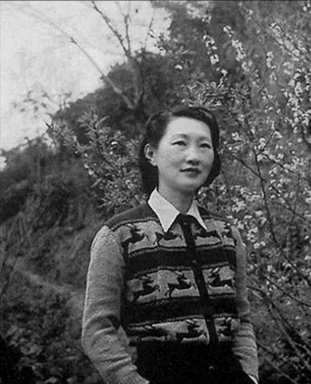 照片上这名温文尔雅,气度不凡的女人就是赵一荻,人们都叫她赵四小姐