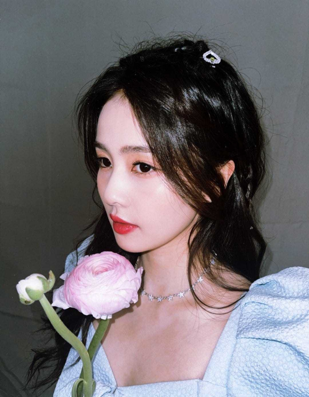 白鹿高清壁纸头像(一百一十五)[比心]