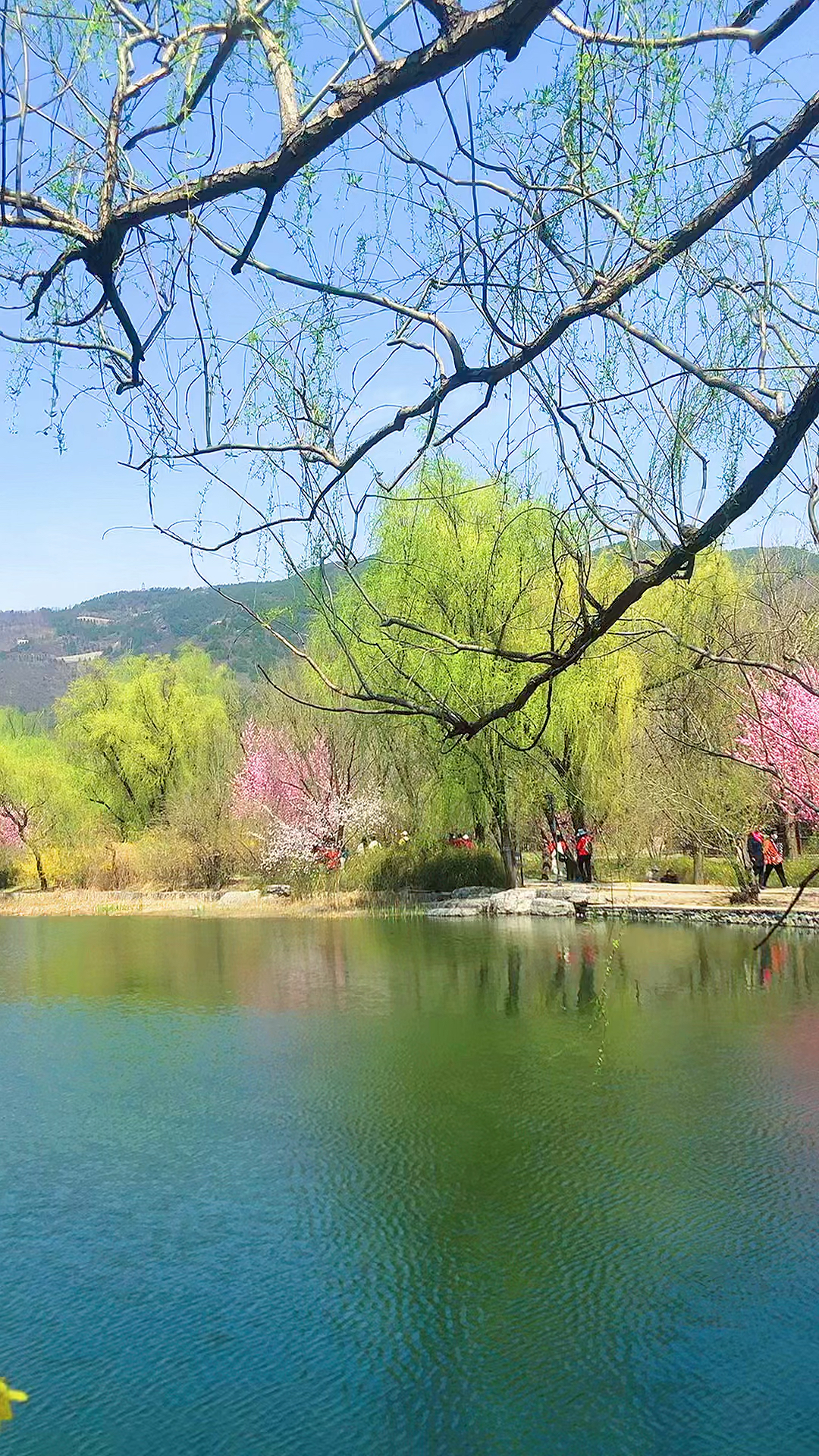 春天的景物如此美丽图片