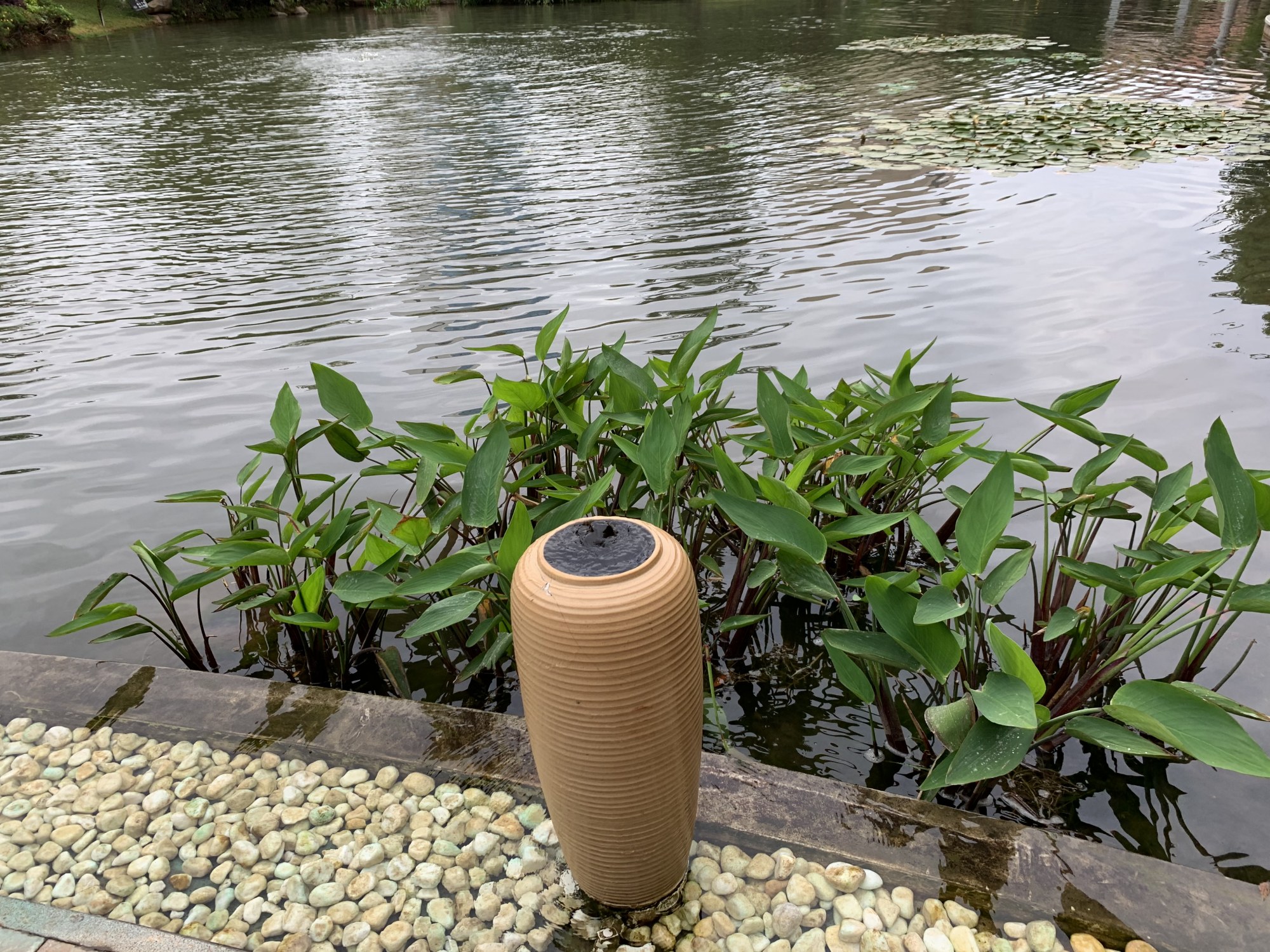 与诗人郁东缘聚祥云 大理潘正伟