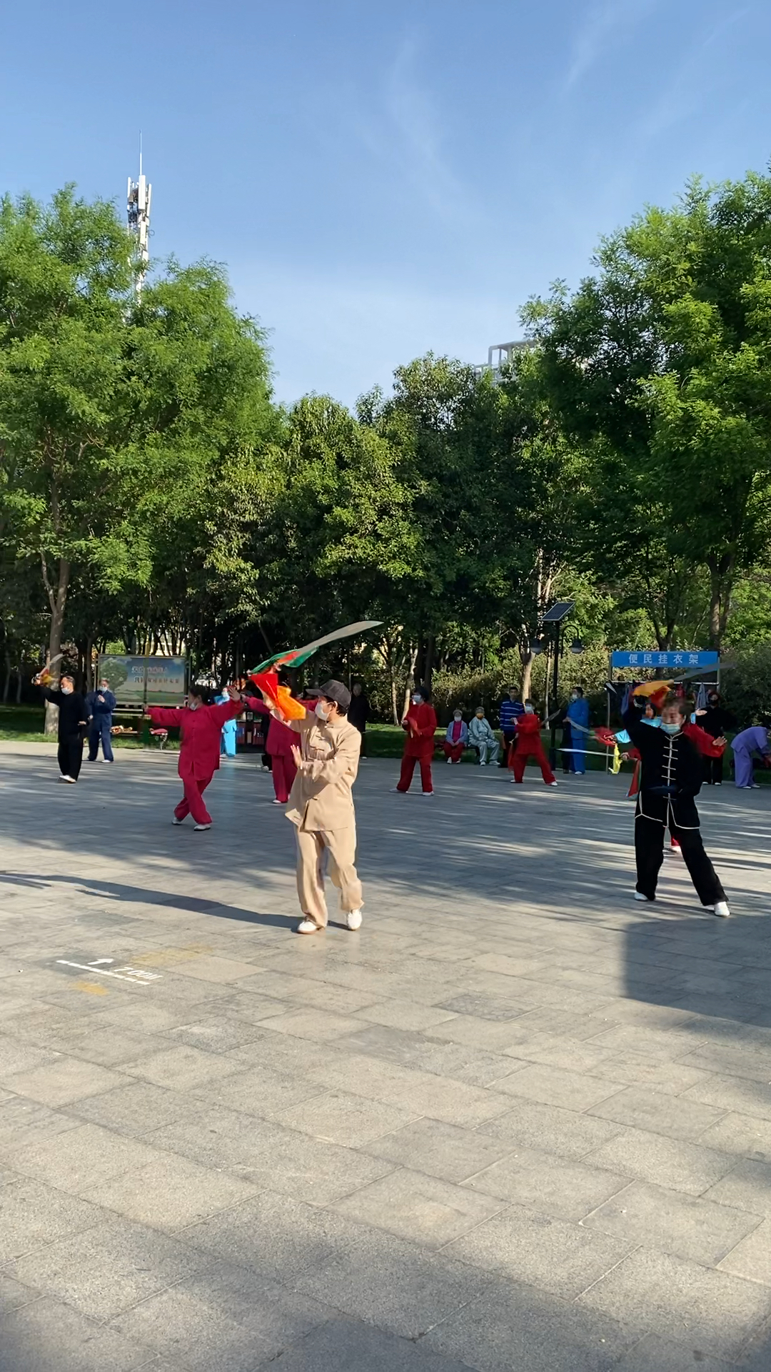 晨練·石家莊槐北公園太極刀