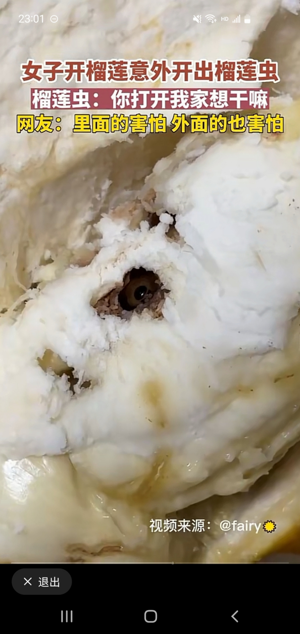 女子开榴莲意外开出榴莲虫,榴莲虫:你打开我家想干嘛?