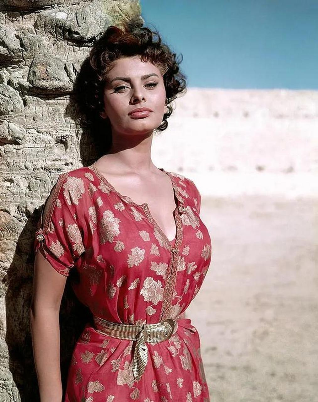 许多国人熟悉的意大利电影明星索菲亚·罗兰(sophia loren.