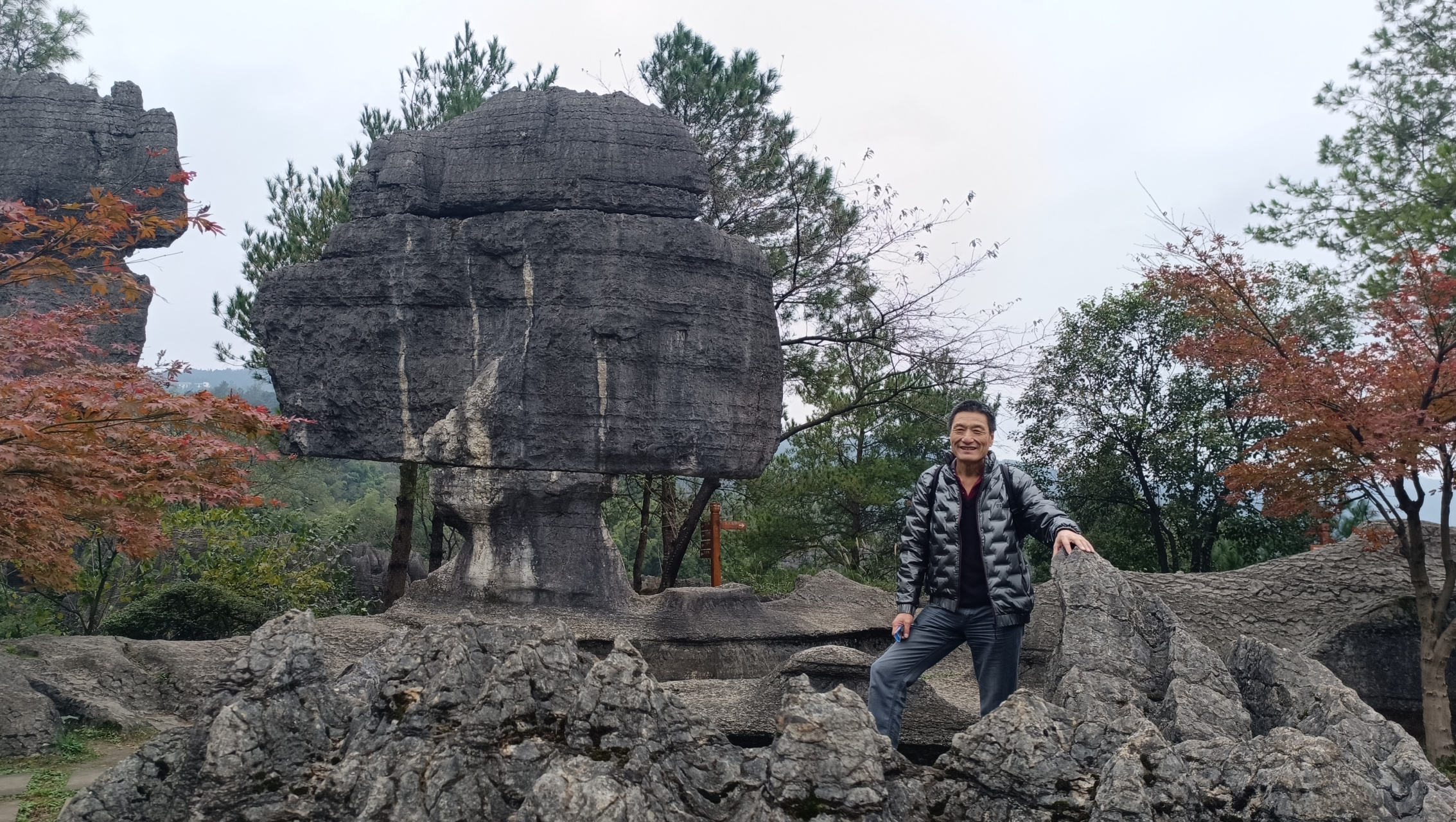重庆万盛石林  重庆万盛石林风景区位于重庆市綦江区,是我国第二大