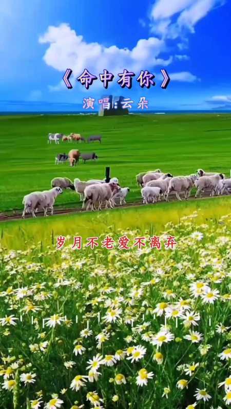 命中有你 深情演唱 好歌分享-度小视