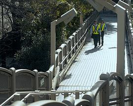 ミドリムシの姫