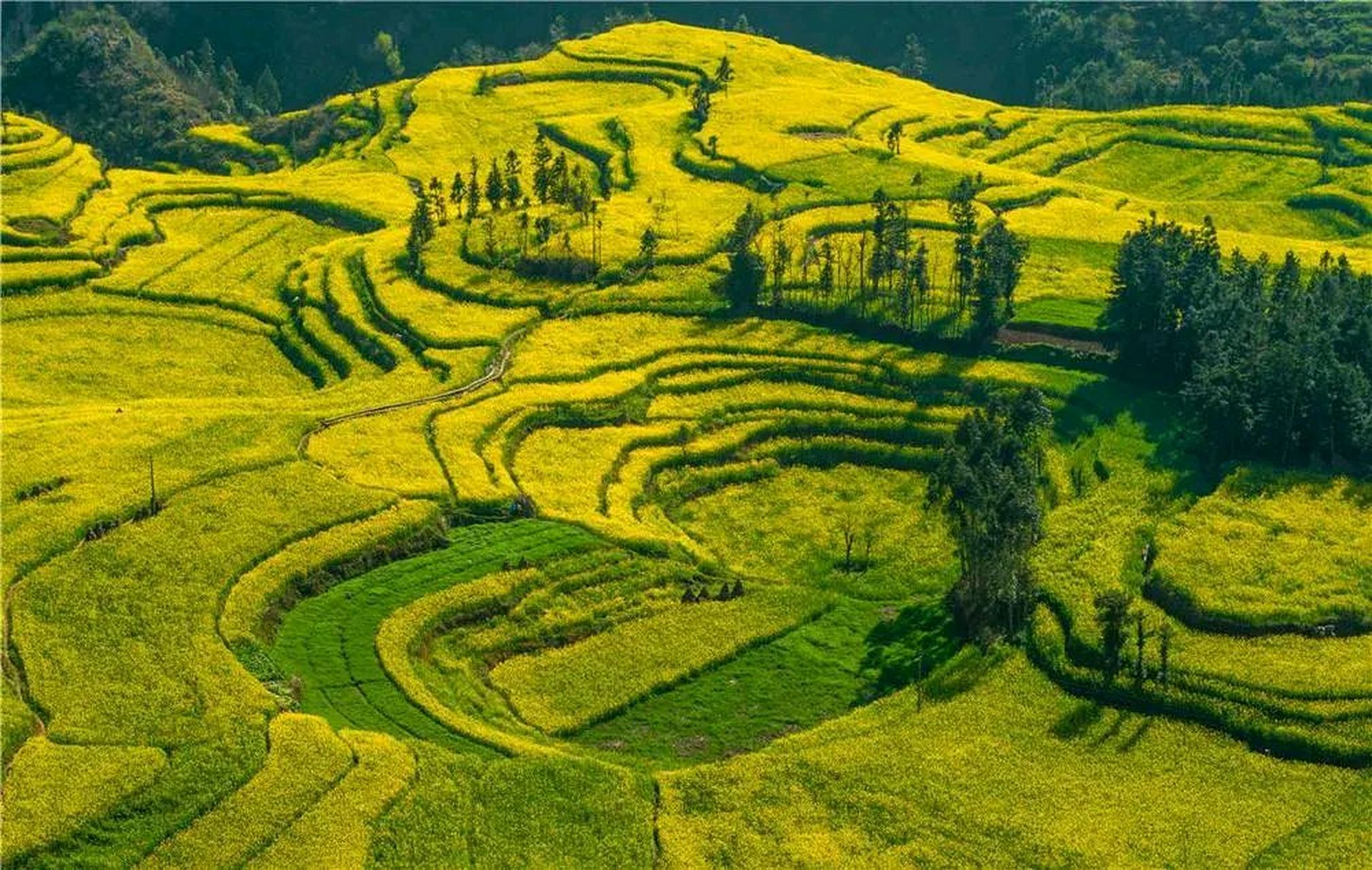 螺丝田风景名胜区图片