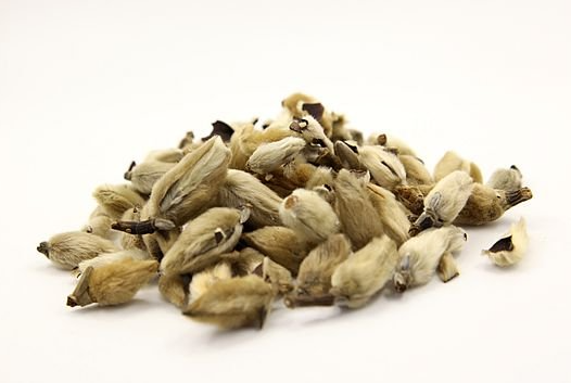 鼻不塞,头不疼,鼻炎,就用这朵花泡水喝