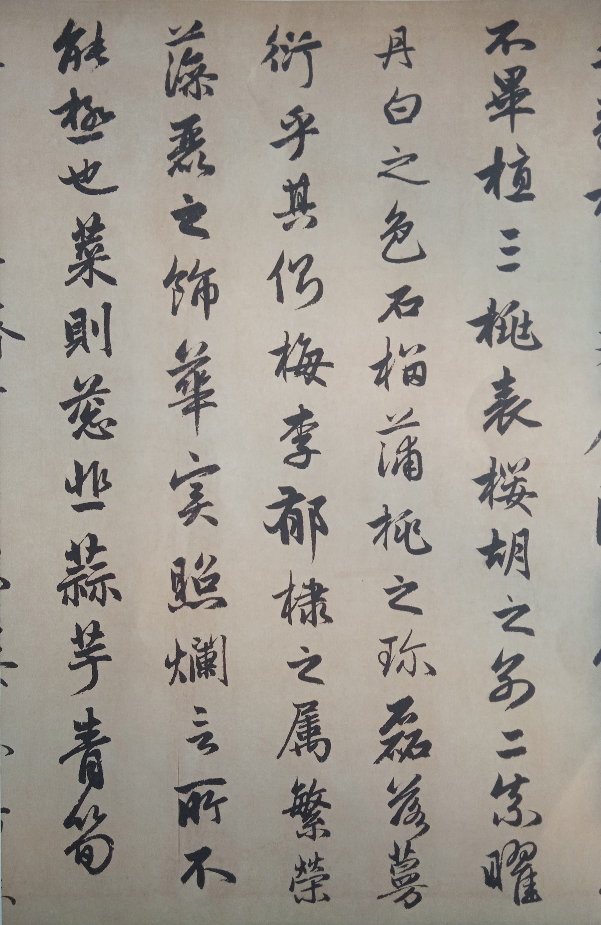 赵孟頫行书作品《闲居赋》