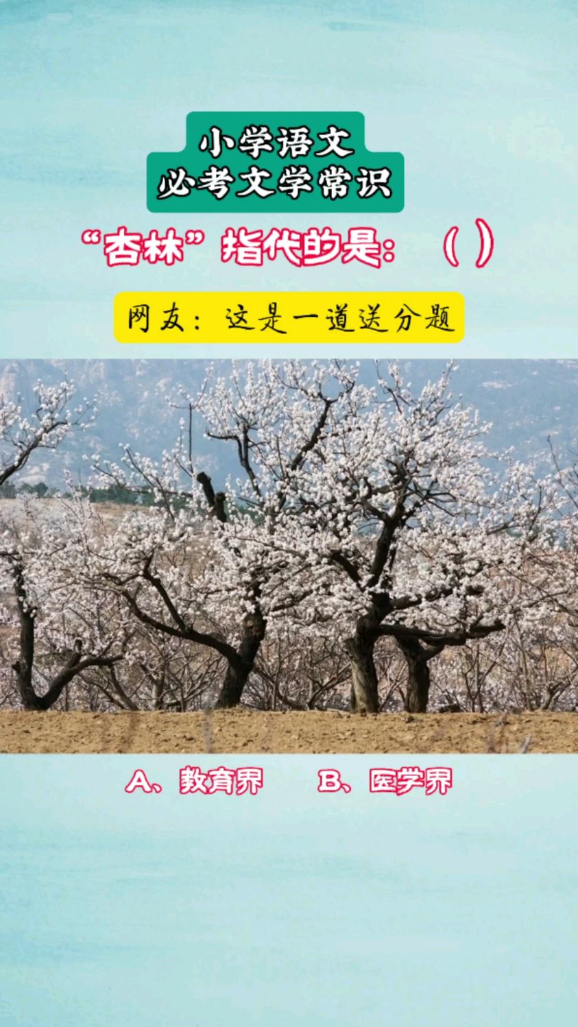 杏林是指医学界吗