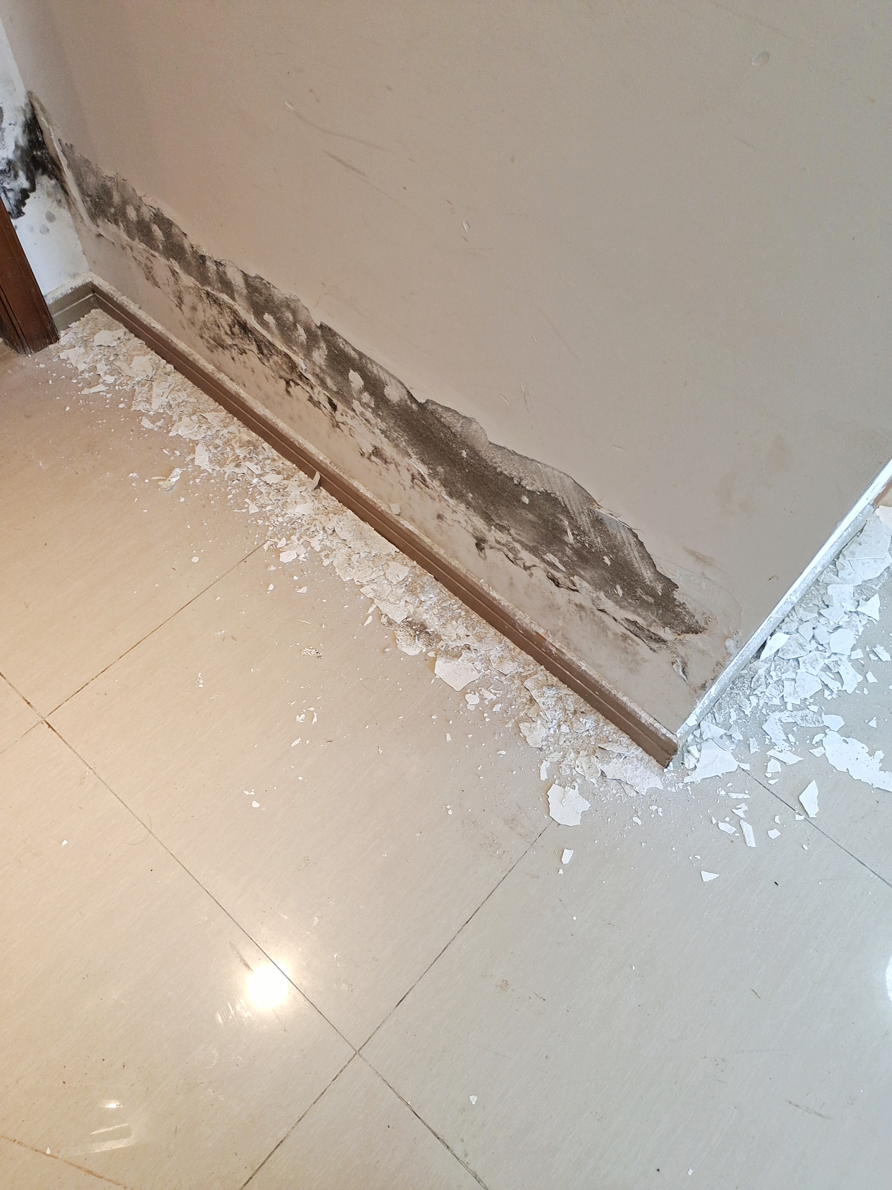 墙壁发霉,脱皮长期潮湿是什么原因导致