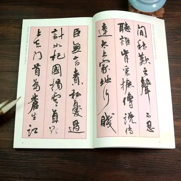 水平被认为在孙晓云之上,周慧珺的硬笔书法洒脱奔放,却不被看好