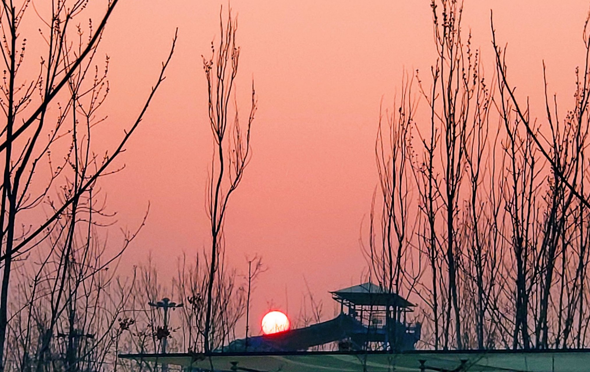 傍晚在郑常庄公园漫步,夕阳西下,美不胜收.