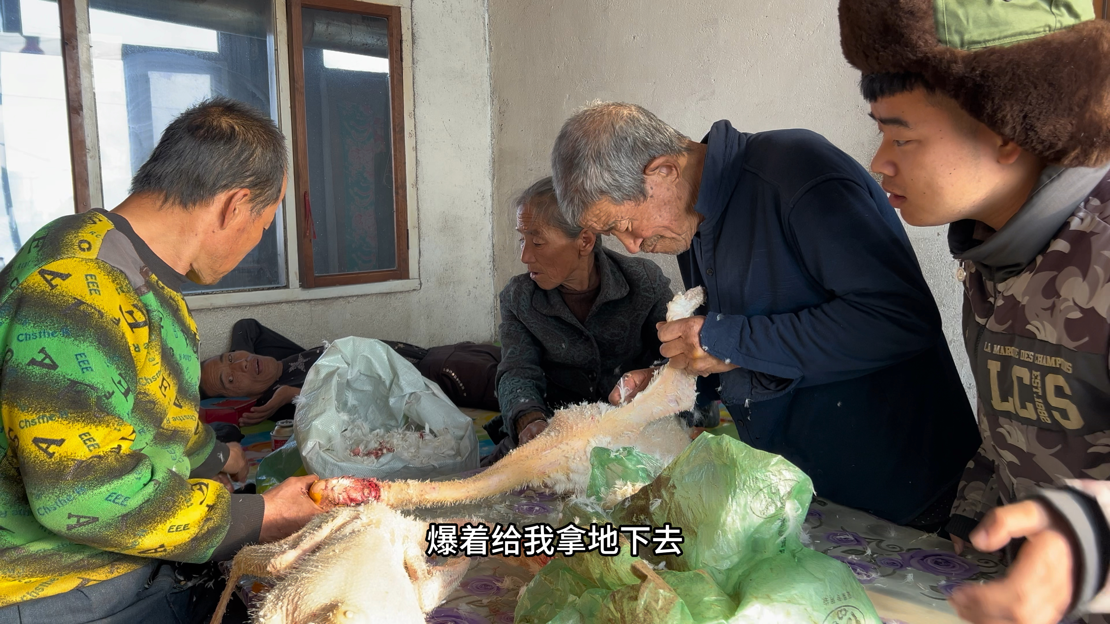 冬天到了,70多岁的姥姥家杀大鹅,小强和脑梗老爸都去帮忙了