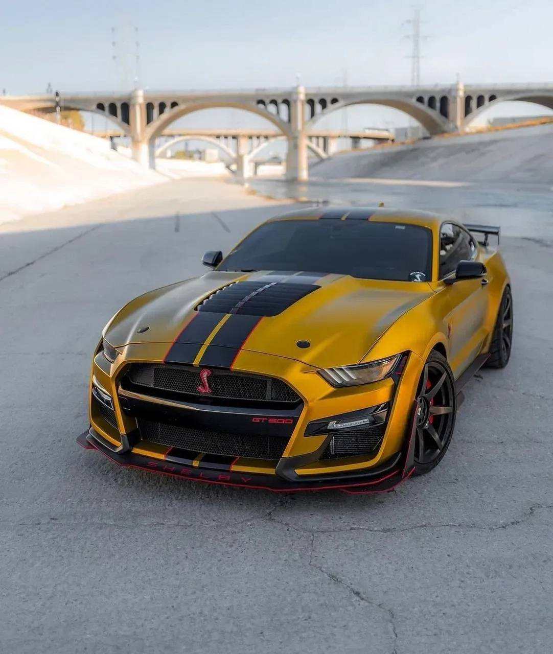 谢尔比-gt500 谢尔比shelby gt500车型的实拍图,新车也可视为谢尔比