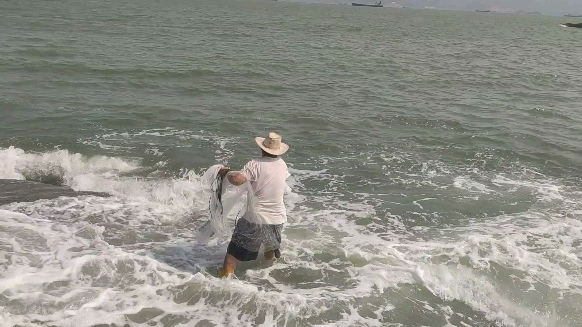 渔人老赵赶海撒网抓鱼,抓到名贵金鼓鱼,看看能卖多少钱