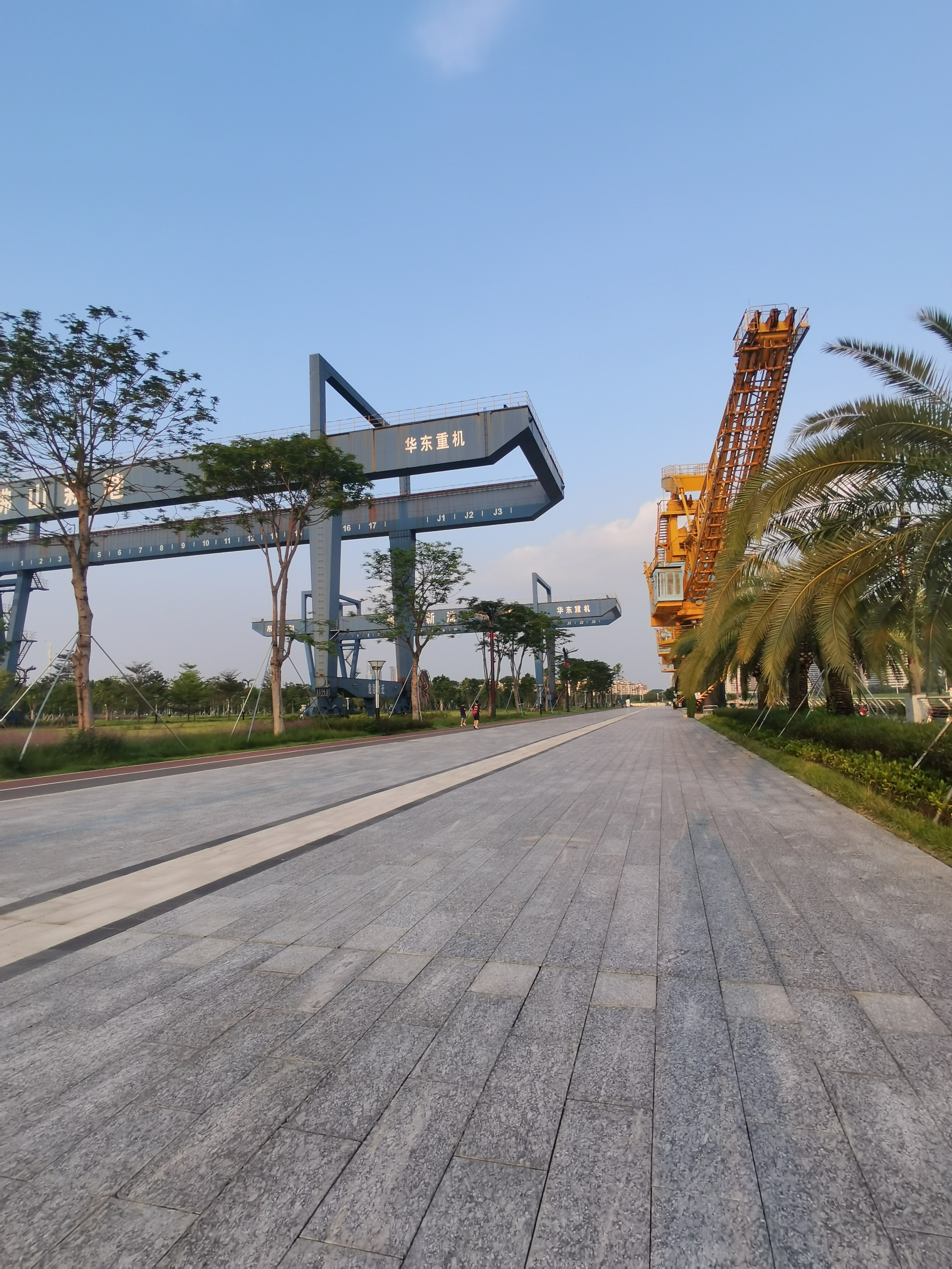 小时候80年代,听家姐说看书读到2000年后我国家家户