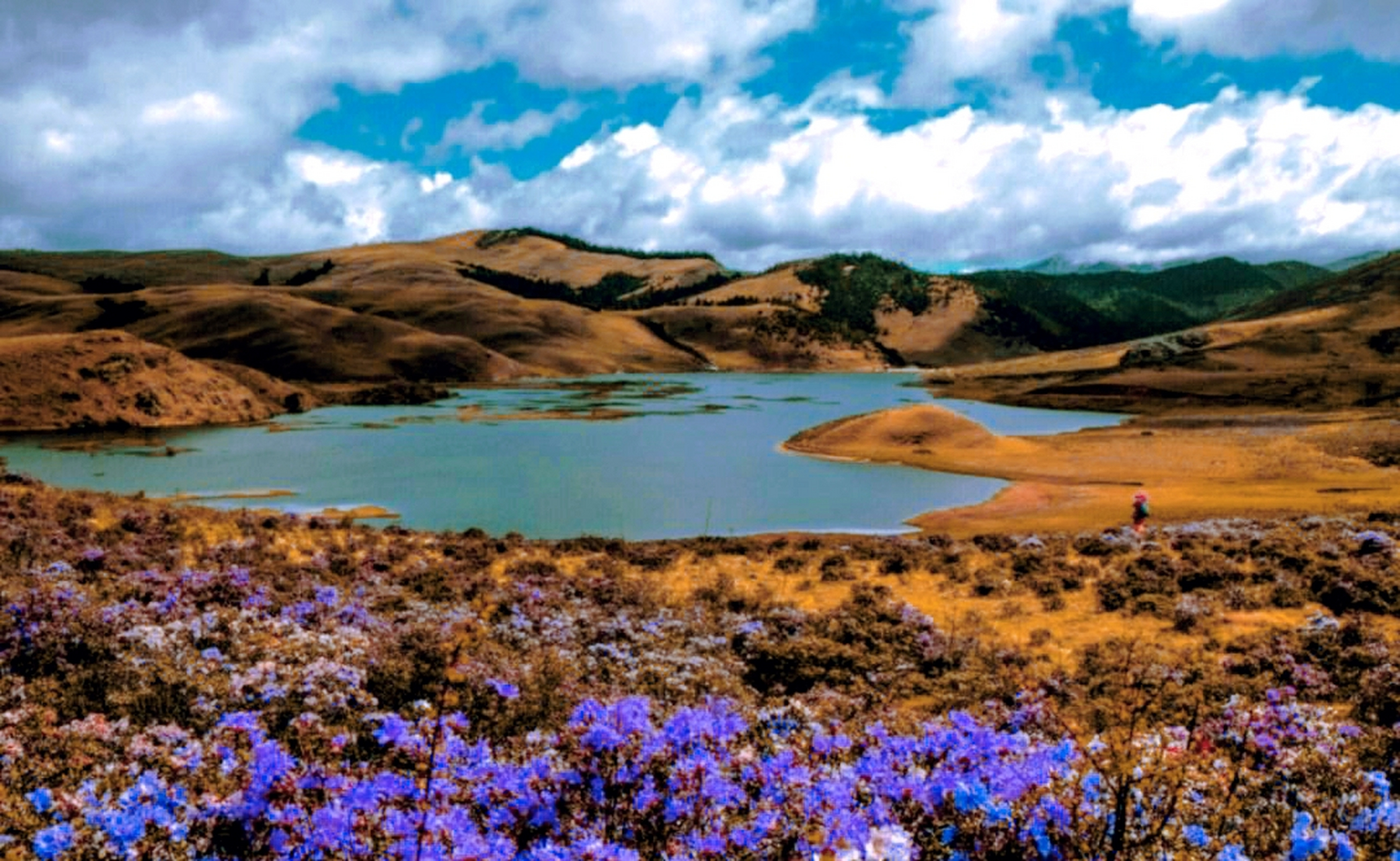 由于海拔较高,且多为山地,木里的民居多密密麻麻地建在山上.
