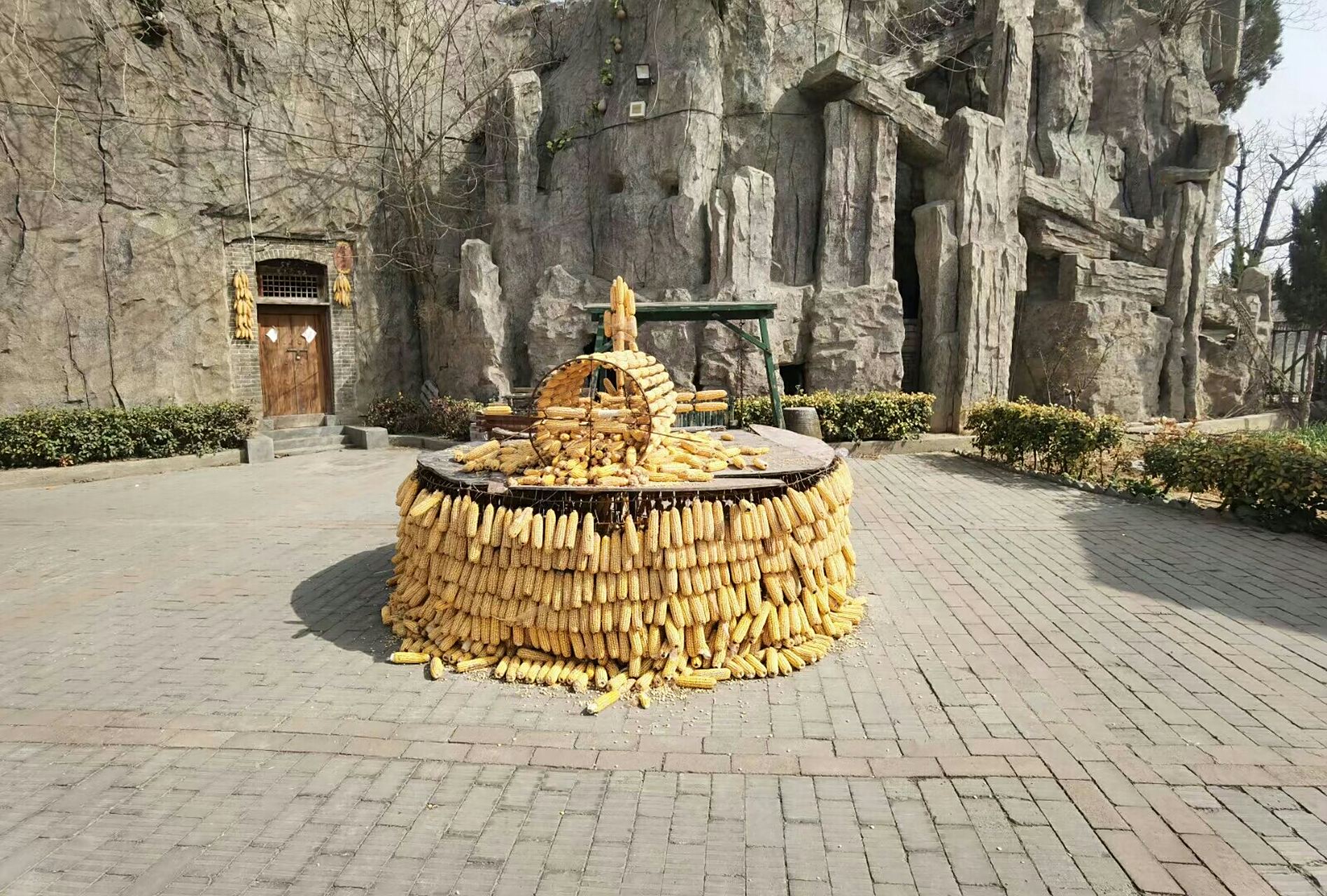 地主家也只有玉米棒子了,排放的整整齐齐,金黄金黄的,就是这个帽子不