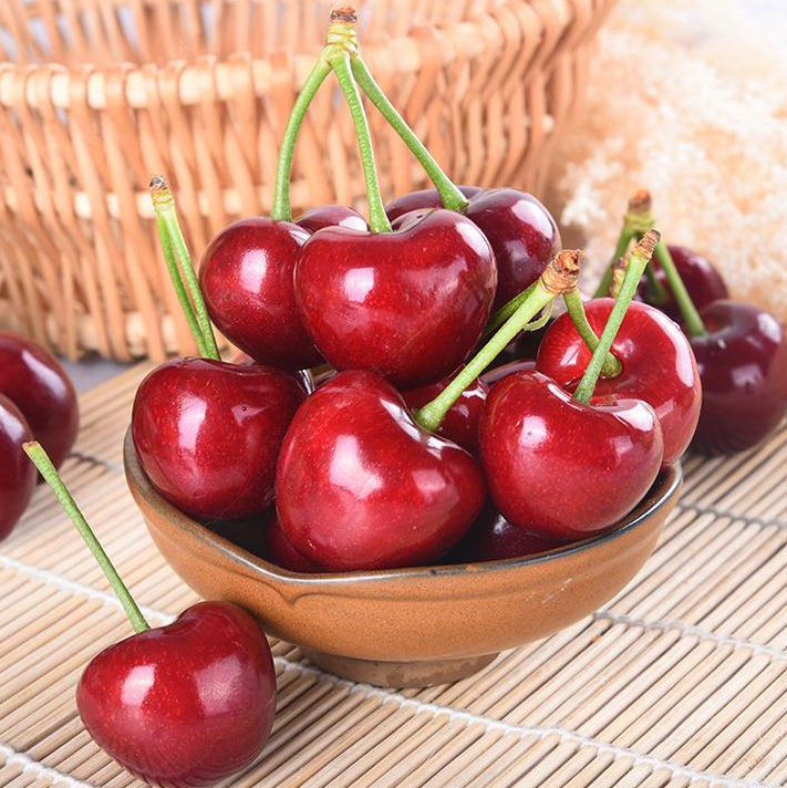 美国大红樱桃简介