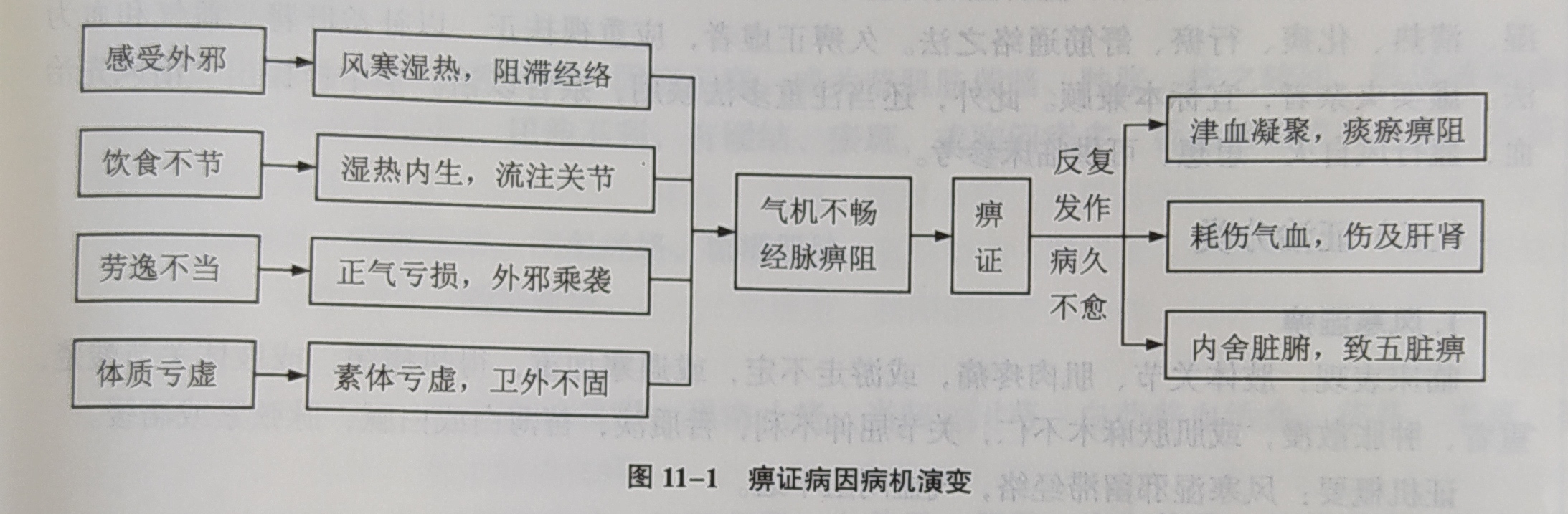 中医"痹证"一一病因病机演变示意图