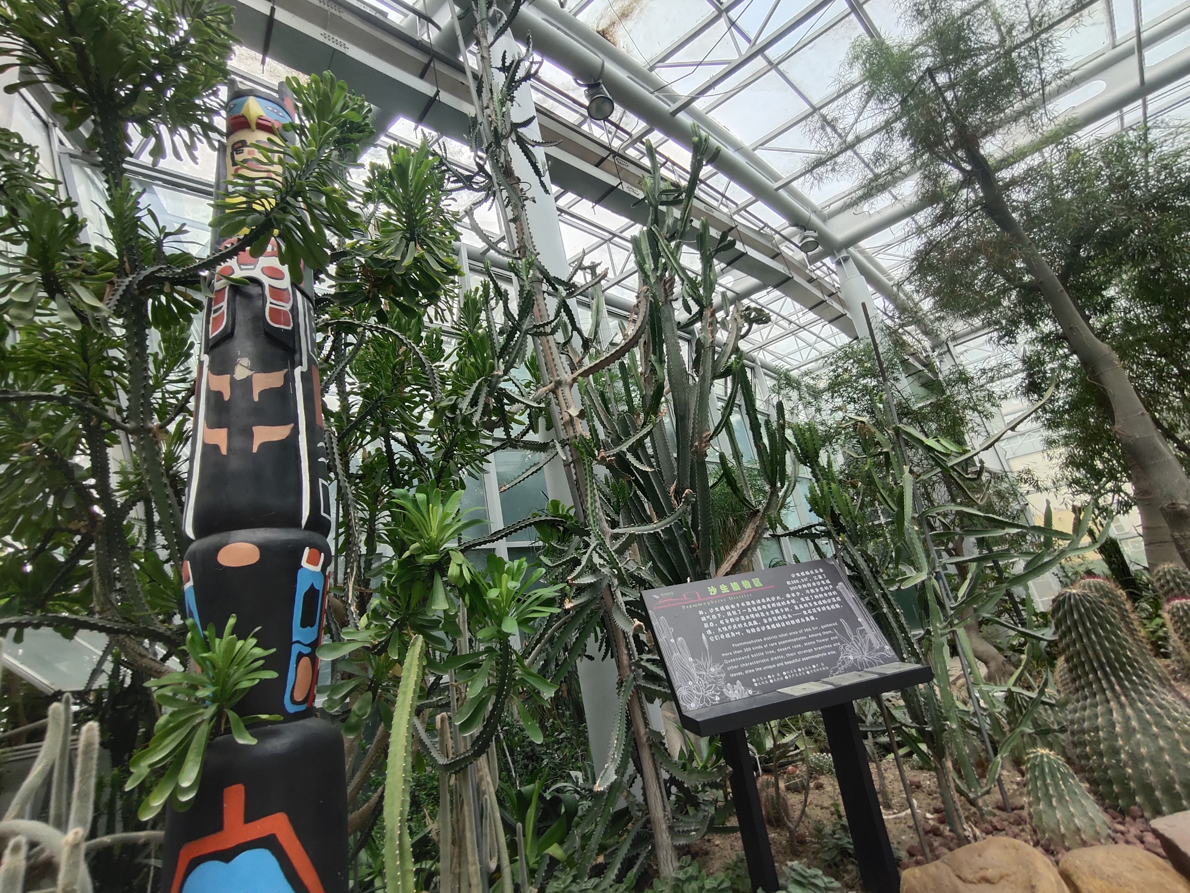 郑州植物园热带雨林游玩攻略