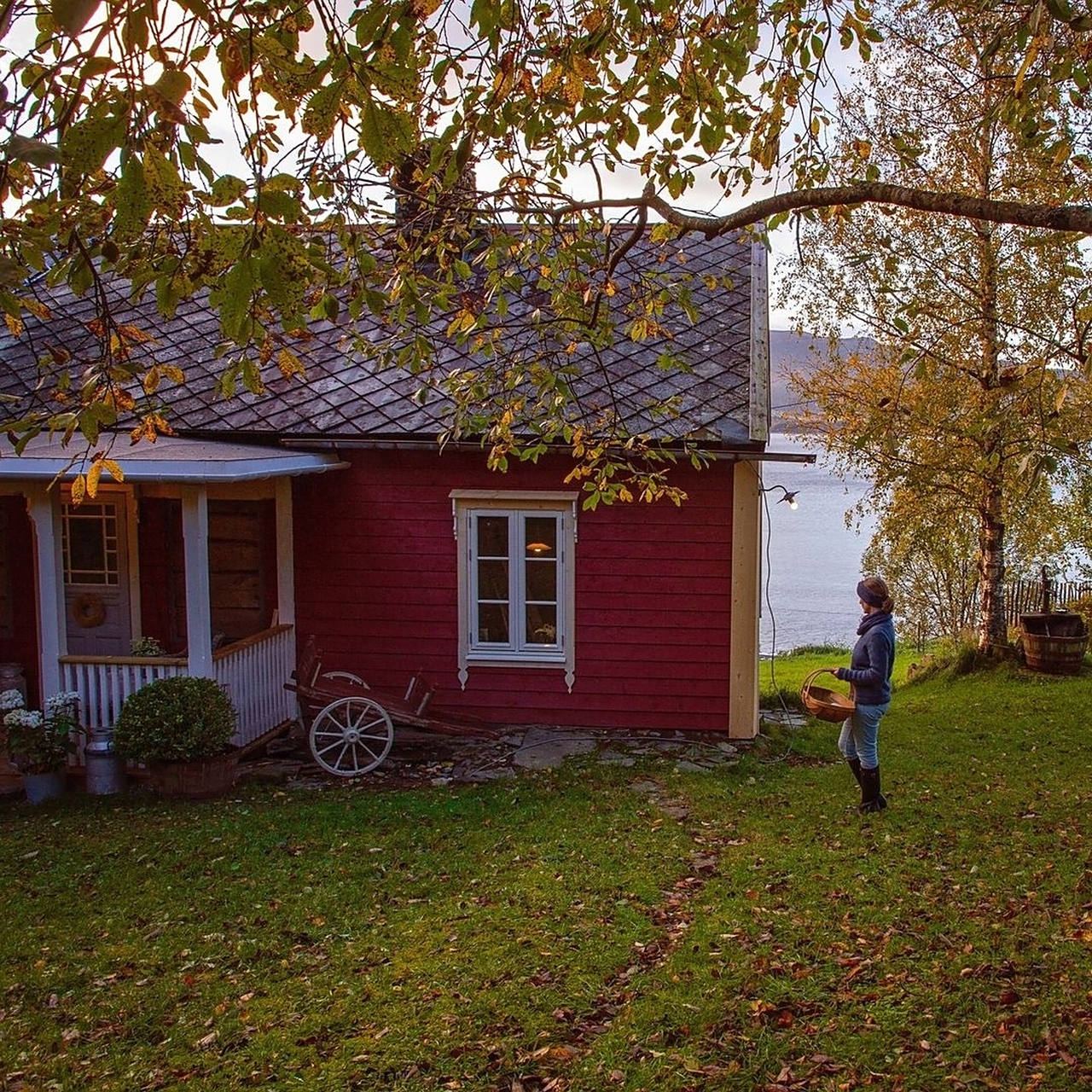 海外文旅# 挪威乡下的秋季农场~939494 . 676767