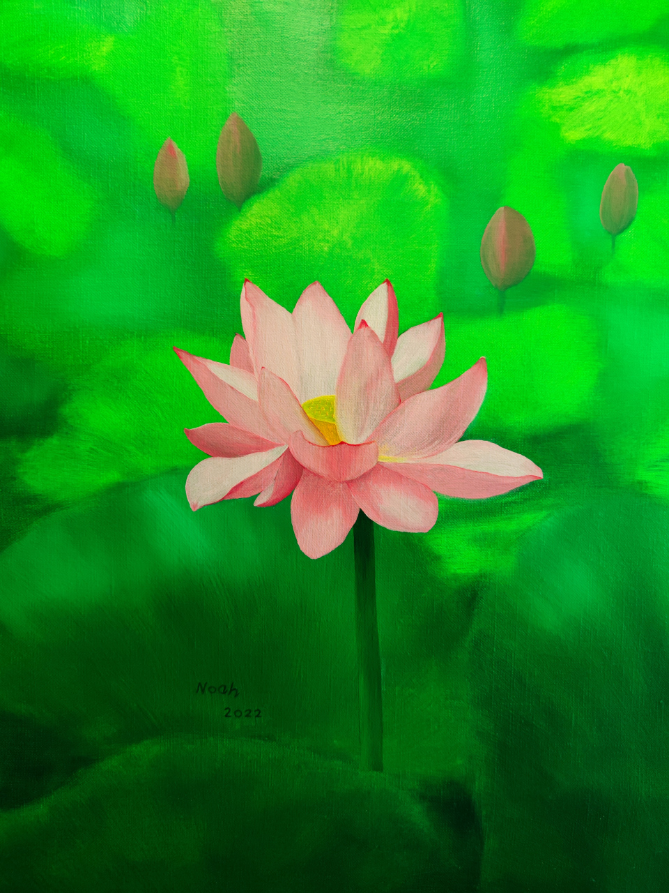 北京六月荷花开,赏荷,画荷进行时……(配图油画,画于去年夏天)