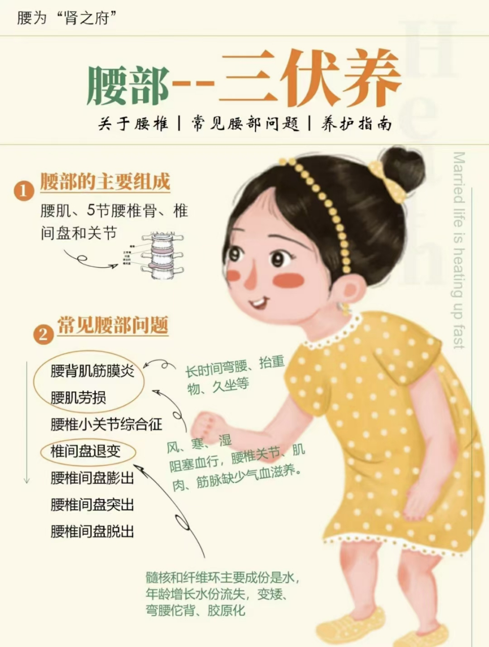 7815腰部养护指南78 96腰不好,就会腿不好 护腰刻不容缓  护