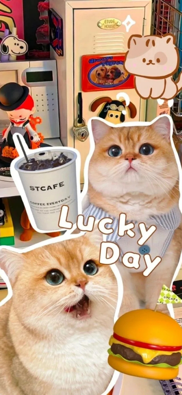 微信手机聊天背景壁纸～#手机壁纸# #壁纸