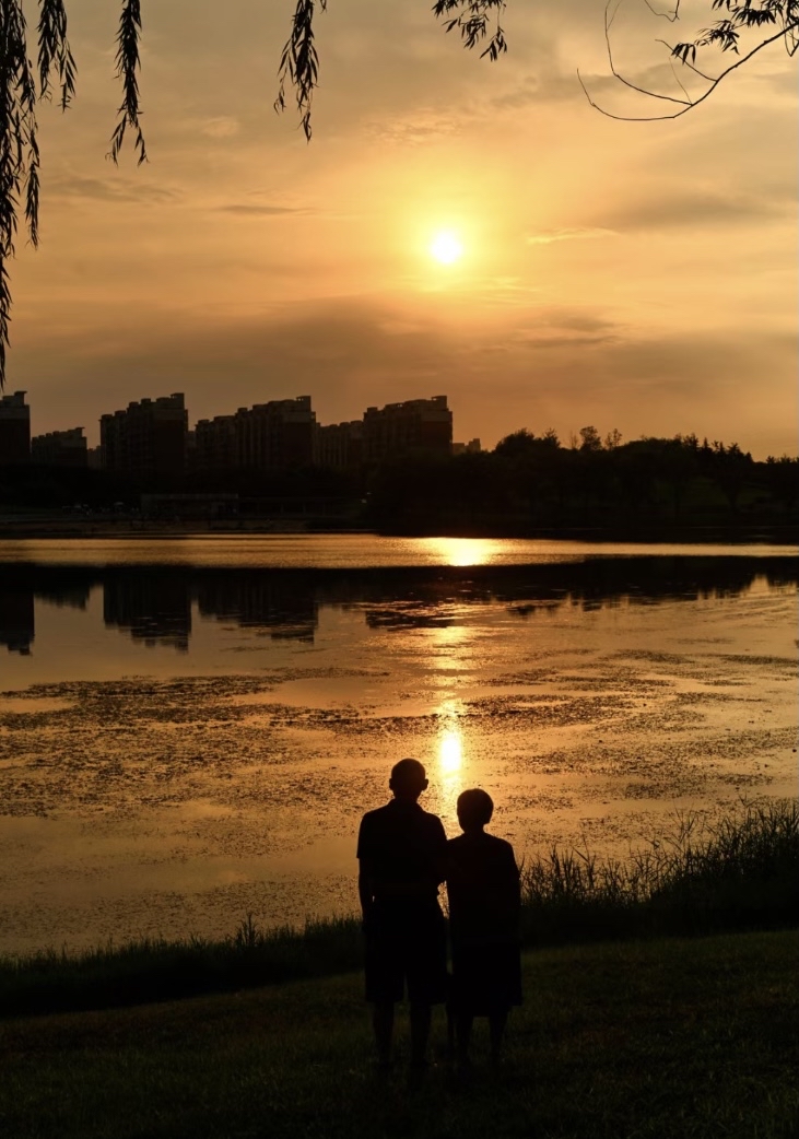 万大爷要求离婚并追回5万余元的银行存款,"黄昏蜜