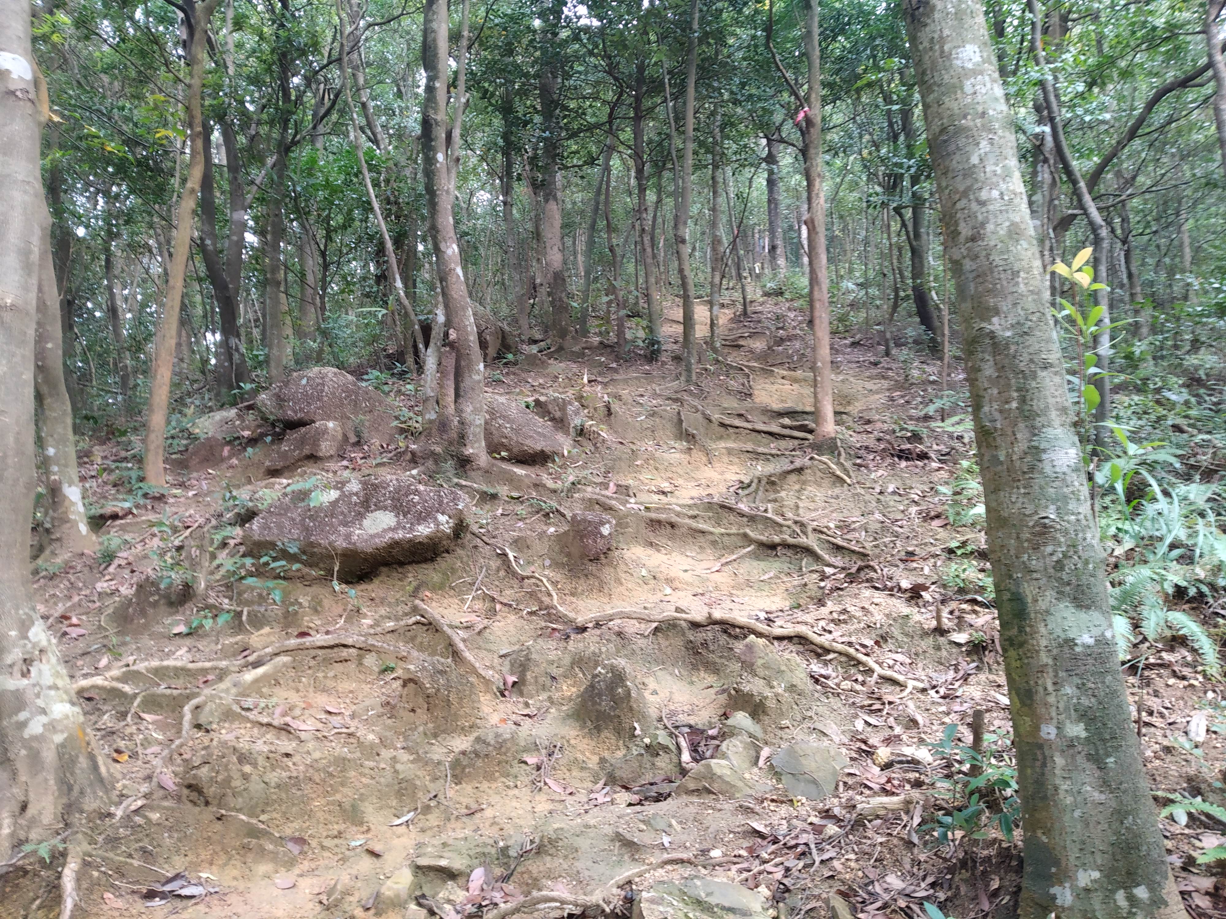 从化通天蜡烛山简介图片