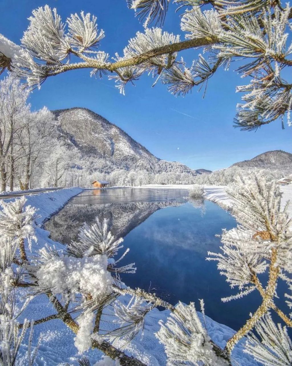 赞雪景拍得漂亮图片