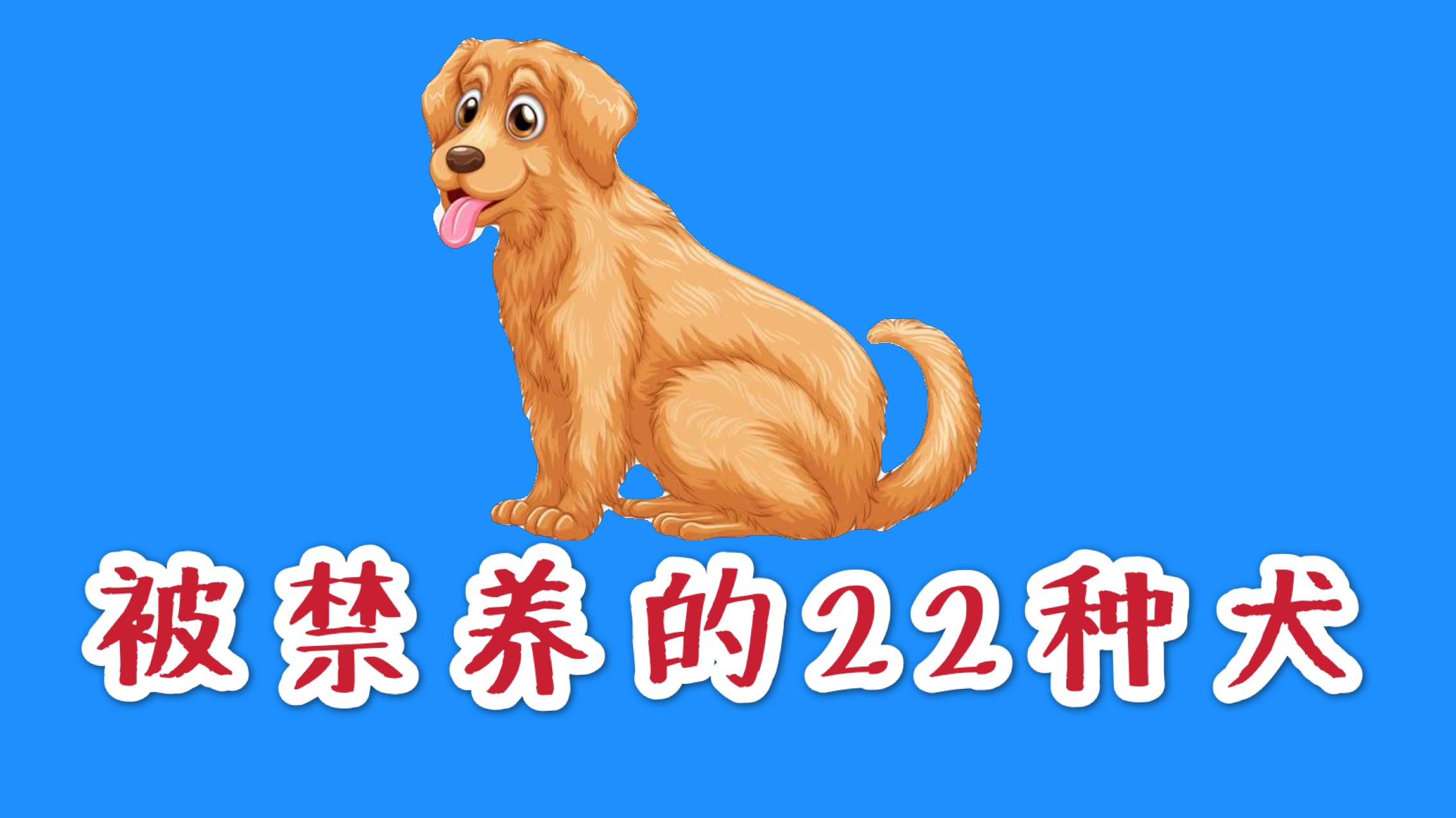 [图]城市犬只管理越来越严,来看看成都市被禁养的22种犬种有哪些