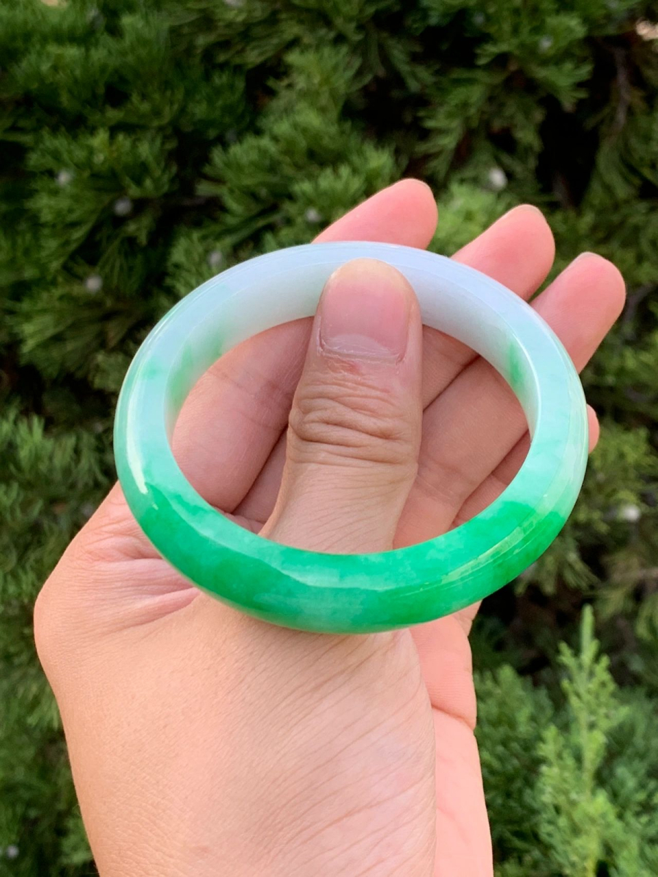 辣绿光采的白底青美镯#翡翠手镯